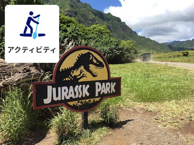 アクティビティ