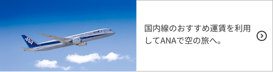 国内線のおすすめ運賃を利用してANAで空の旅へ。