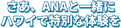 さあ、ANAと一緒にハワイで特別な体験を