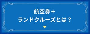 航空券+ランドクルーズとは？