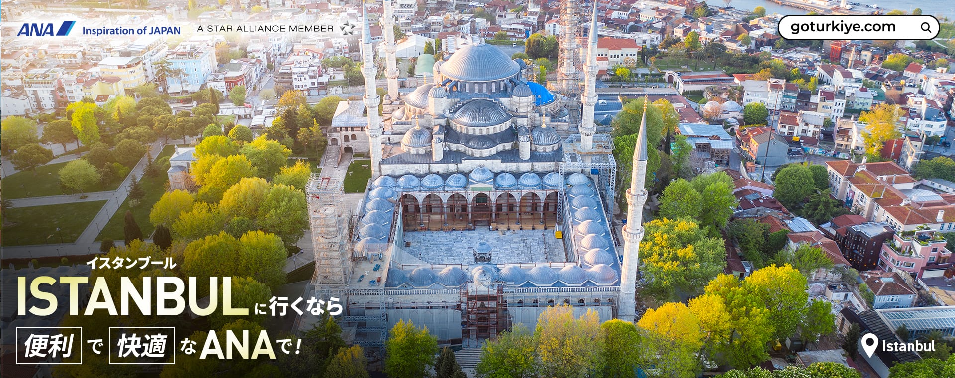 イスタンブールに行くなら便利で快適なANAで！