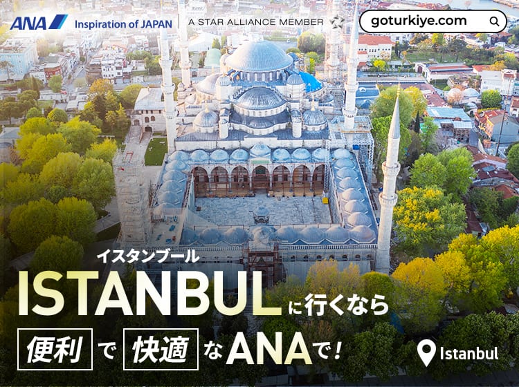 イスタンブールに行くなら便利で快適なANAで！