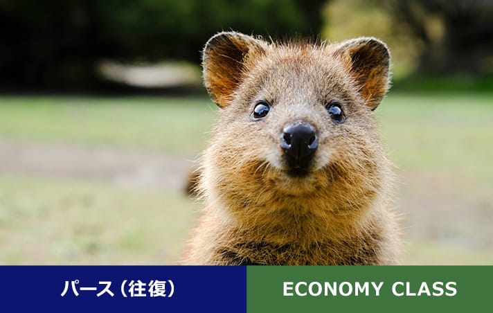 パース（往復） ECONOMY CLASS