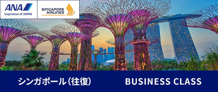 シンガポール（往復） BUSINESS CLASS