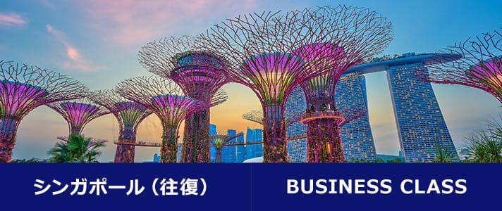 シンガポール（往復） BUSINESS CLASS