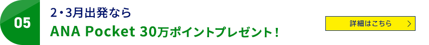 05 2・3月出発ならANA Pocket 30万ポイントプレゼント！ 詳細はこちら
