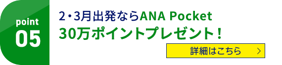 Point05 2・3月出発ならANA Pocket 30万ポイントプレゼント！ 詳細はこちら