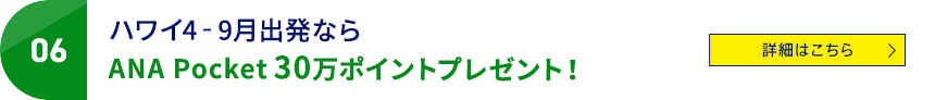 06 ハワイ4‐9月出発ならANA Pocket30万ポイントプレゼント！ 詳細はこちら