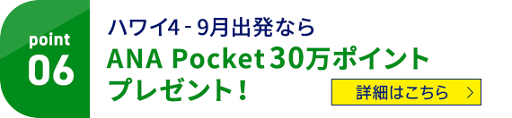 Point05 ハワイ4‐9月出発ならANA Pocket30万ポイントプレゼント！ 詳細はこちら