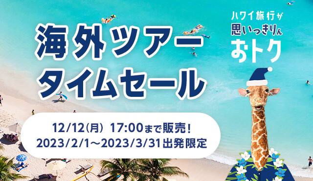 海外ツアータイムセール Ana