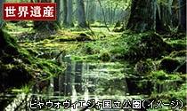 ビャウォヴィエジャ国立公園