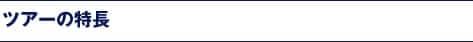 ツアーの特長