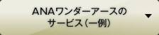 ANAワンダーアースのサービス（一例）