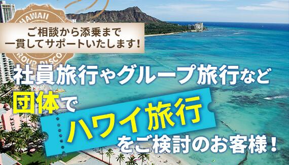 ハワイ旅行 Anaのおトクで特別なハワイ 海外旅行 ツアーご紹介 海外ツアー Ana