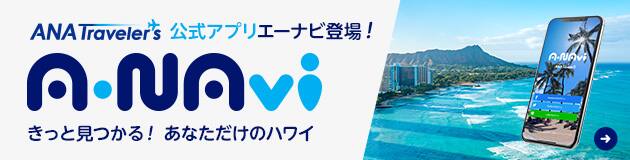 A Navi 国内海外旅行 ツアー Anaトラベラーズ