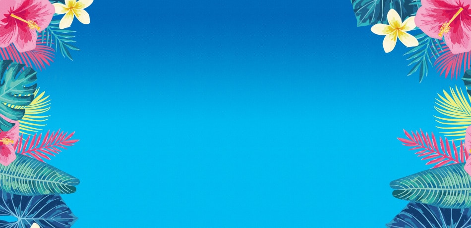 ハワイの価格重視派おすすめホテル一覧 Ana ハワイの価格重視派おすすめホテル一覧 Ana