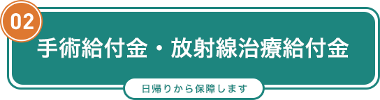 02 手術給付金・放射線治療給付金 日帰り入院から保障します