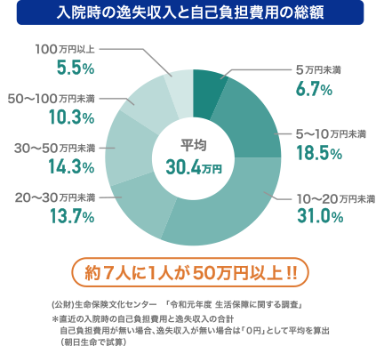 入院時の逸失収入と自己負担費用の総額