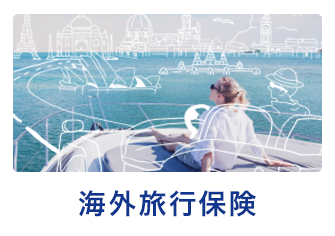 Anaの保険 Anaマイレージクラブ