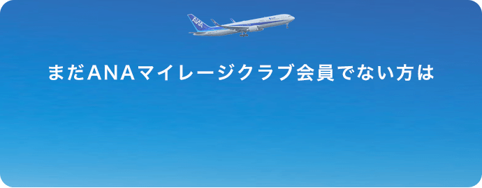 定期医療保険 Ana たった10秒見積り 最短5分のネット申込