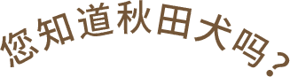 您知道秋田犬吗？