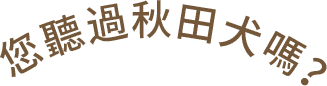 您聽過秋田犬嗎?