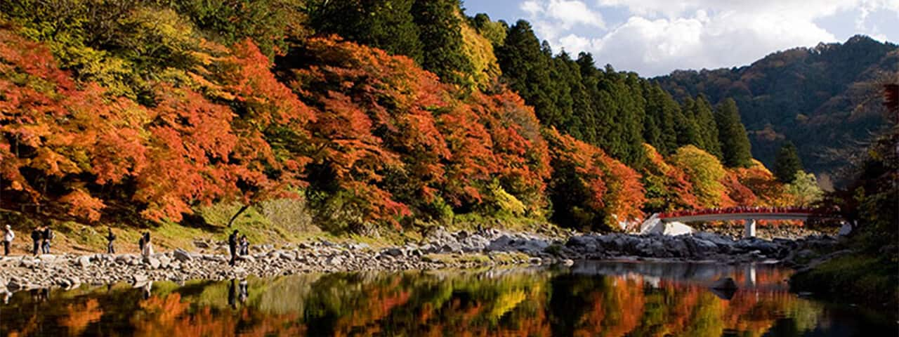 愛知県足助香嵐渓で錦秋の絶景を楽しむ ライトアップも必見 Ana