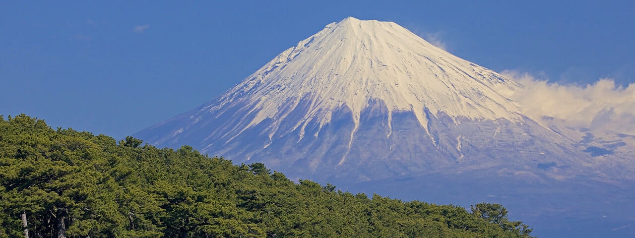 羽衣传说之地三保松原是眺望富士山的圣地 Ana