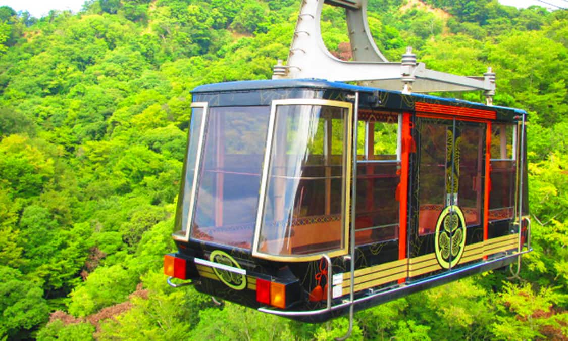 靜岡的國寶 久能山東照宮 也相當推薦搭乘纜車 Ana