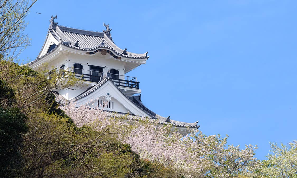溫暖的海岸城市 千葉縣館山市 花團錦簇的城山公園 Ana