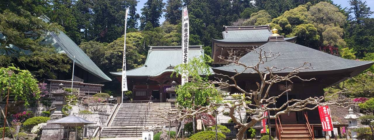 Sunrise Morning Yoga Experience  See Japan, Experience Sendai Activities