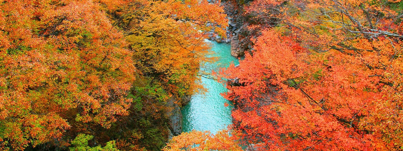 群馬県吾妻峡でハイキングを楽しもう Ana