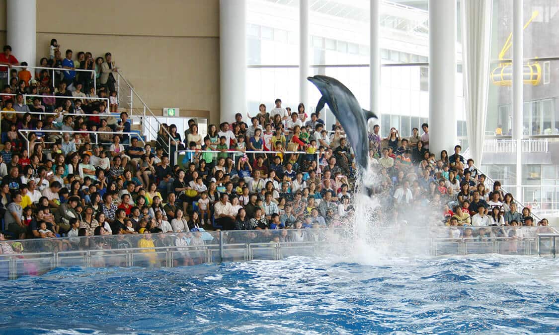 茨城県 太平洋を望む巨大水族館アクアワールド大洗 Ana