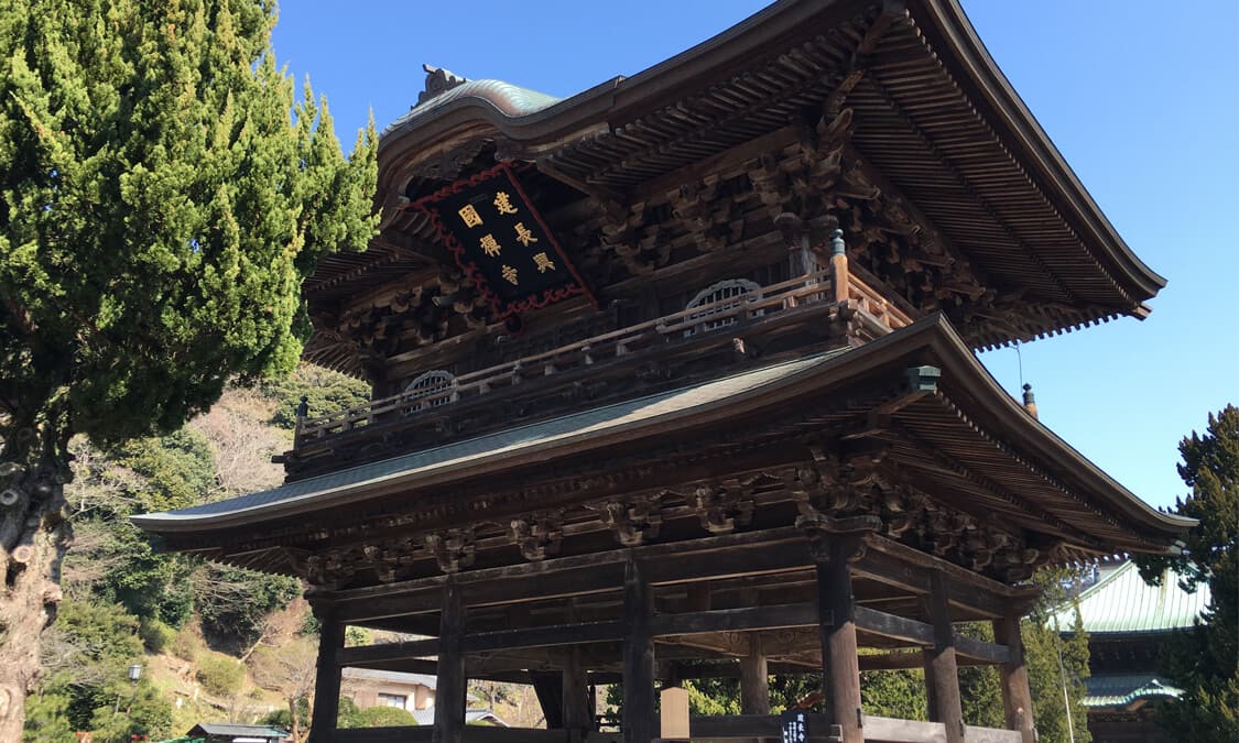 神奈川縣北鎌倉建長寺 櫻花名勝地為日本最早期的正宗禪寺 Ana