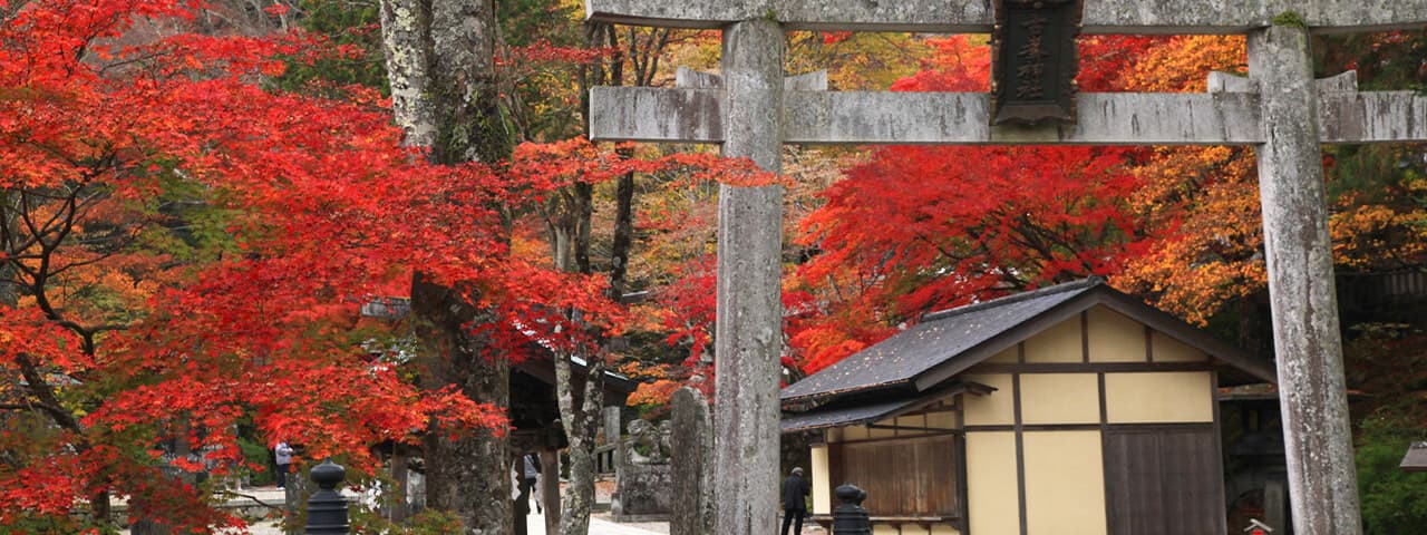 天狗の杜でパワーをもらおう 栃木県鹿沼市 古峯神社 Ana
