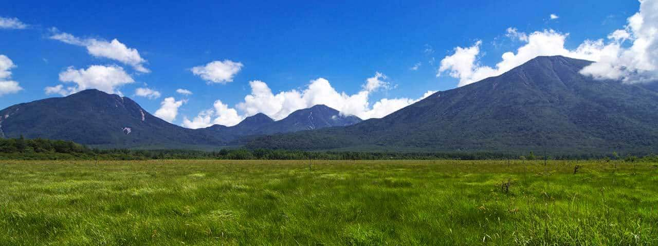 在高山植物羊胡子草花开的湿原徒步 Ana