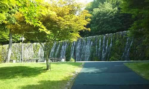 富士山とひまわりと山中湖 花のテーマパーク 花の都公園 Ana