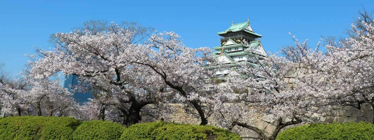 大阪城所位在的公園是大阪的象徵性地標能夠享受博物館 美食和武士體驗的樂趣 Ana