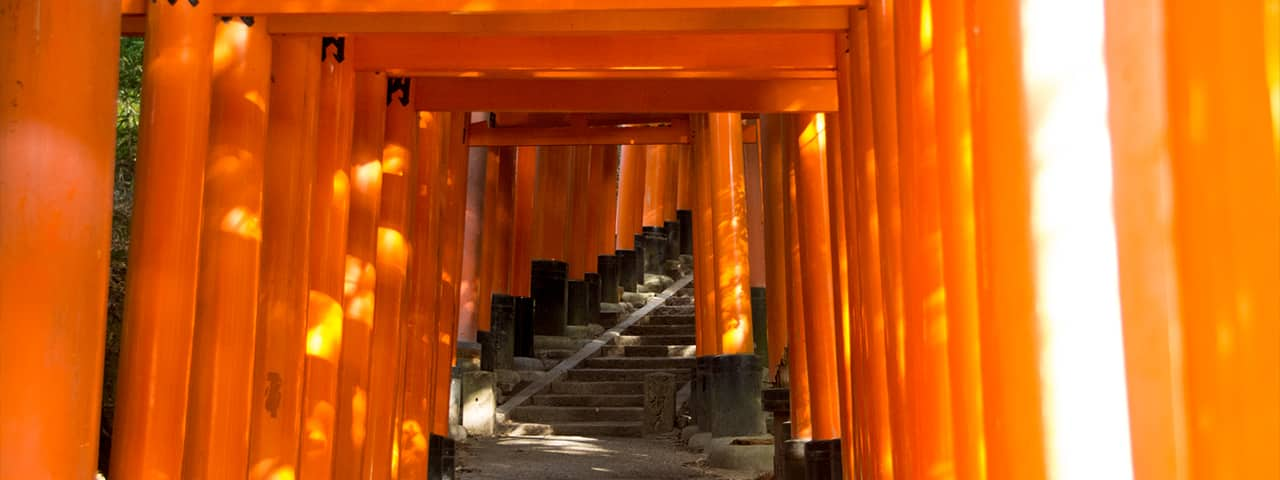 Thông tin thăm viếng Đền thờ Fushimi Inari Taisha, bao gồm giờ thăm viếng  vào ban đêm, cách đi đến đền thờ và các lộ trình tham quan đi qua hàng ngàn