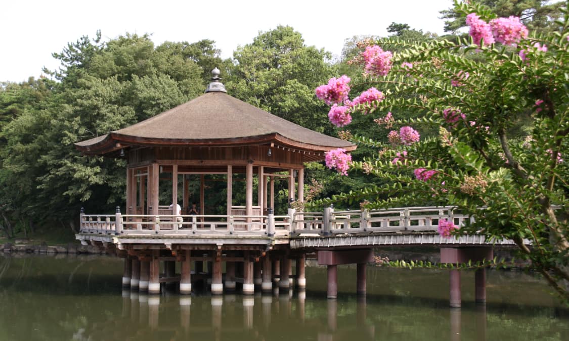 奈良公園不只有鹿 園內和附近還有很多值得一遊的地方 如若草山 Ana