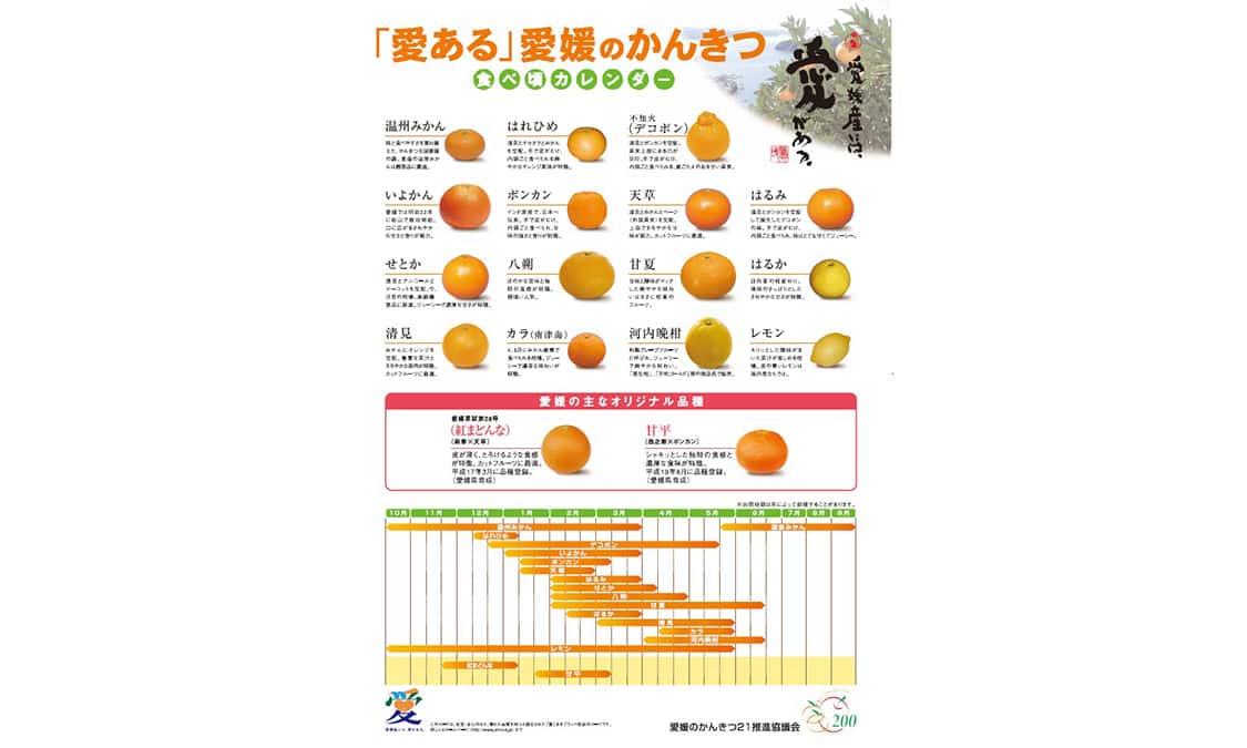 愛媛縣的 美食 Ana 愛媛縣的 美食 Ana