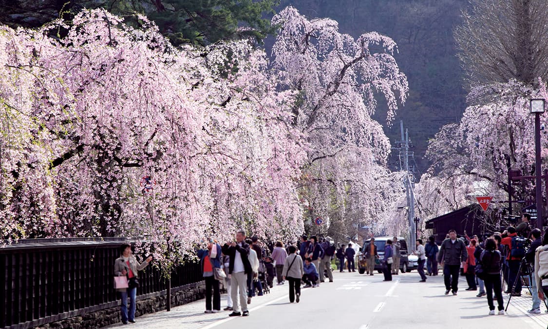 角館武家屋敷通りの観光で桜など、古き良き日本の街並みを楽しむ - Japan Travel Planner - ANA