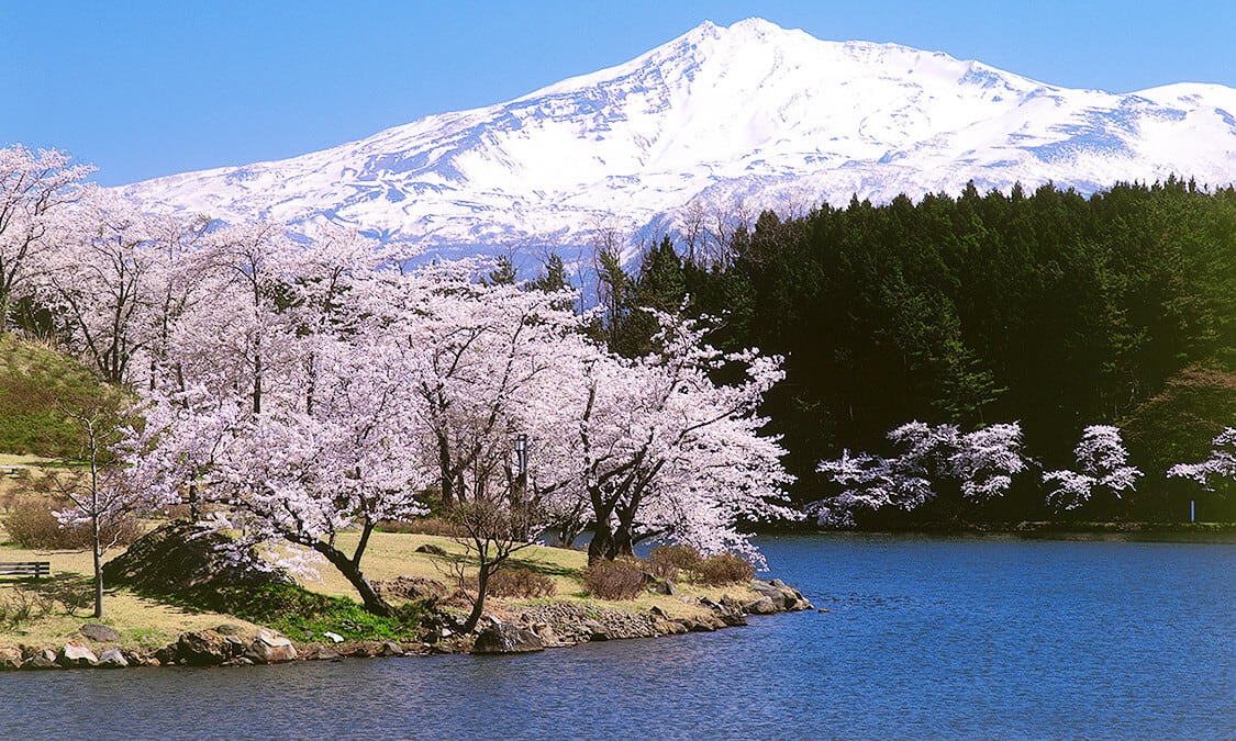 Mount Chokai A Treasure Trove Of Nature Blessed With A Waterfall Marshland Flower Field And Kisakata Ana