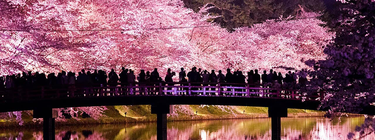 擁有日本最美封號的弘前城櫻花櫻色漫漫的絕景之城 Ana