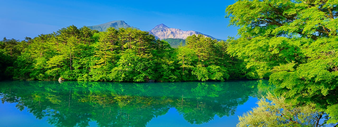 花粉 症 鼻水 止まら ない