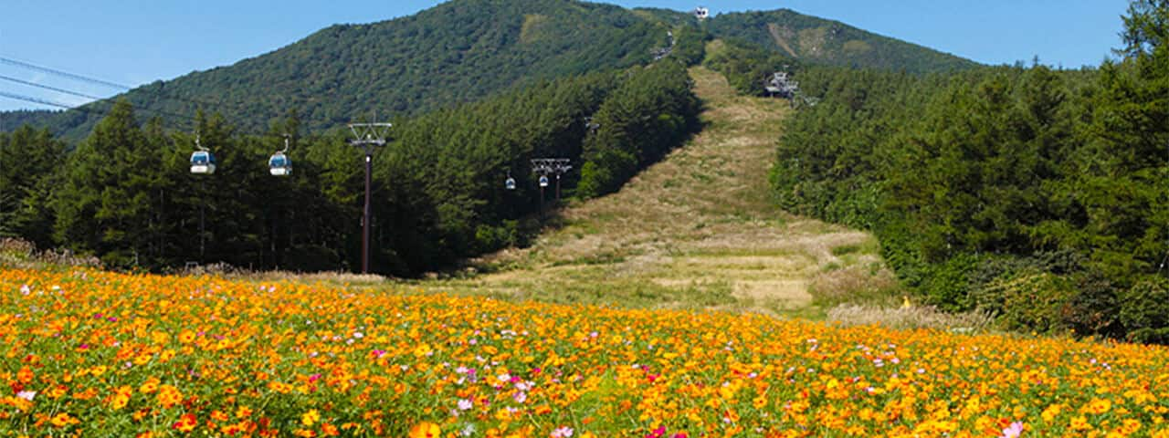 高远的天空 鲜花 红叶 还有温泉 诗人也吟咏的福岛县安达太良山 Ana