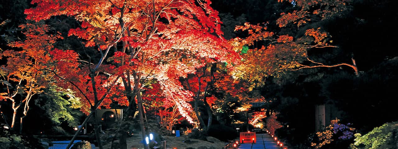 宮城県松島 ヨーロッパの香りのする紅葉の寺 Ana