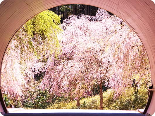 The Must-See Miho Museum - Shiga - Japan Travel