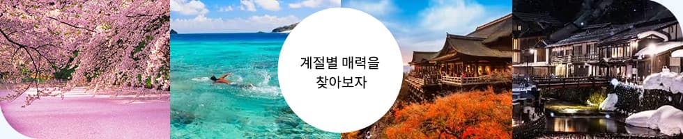 계절별 매력을 찾아보자