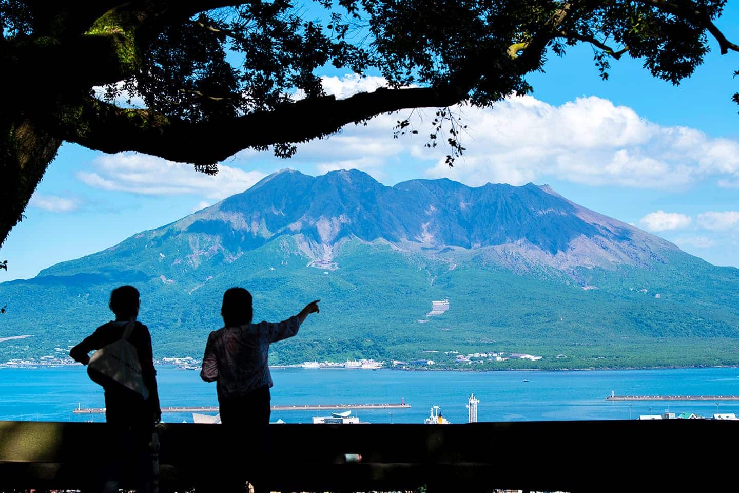 精選圖片：從觀景台眺望著遠處的櫻島。